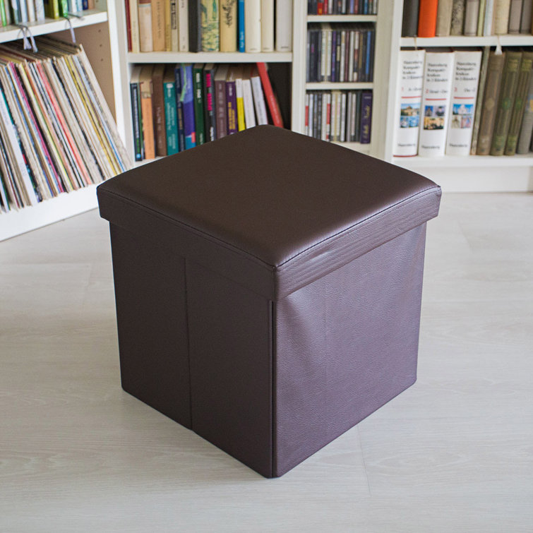 17 Stories Ehtridge Ottoman mit Aufbewahrungsfach & Bewertungen